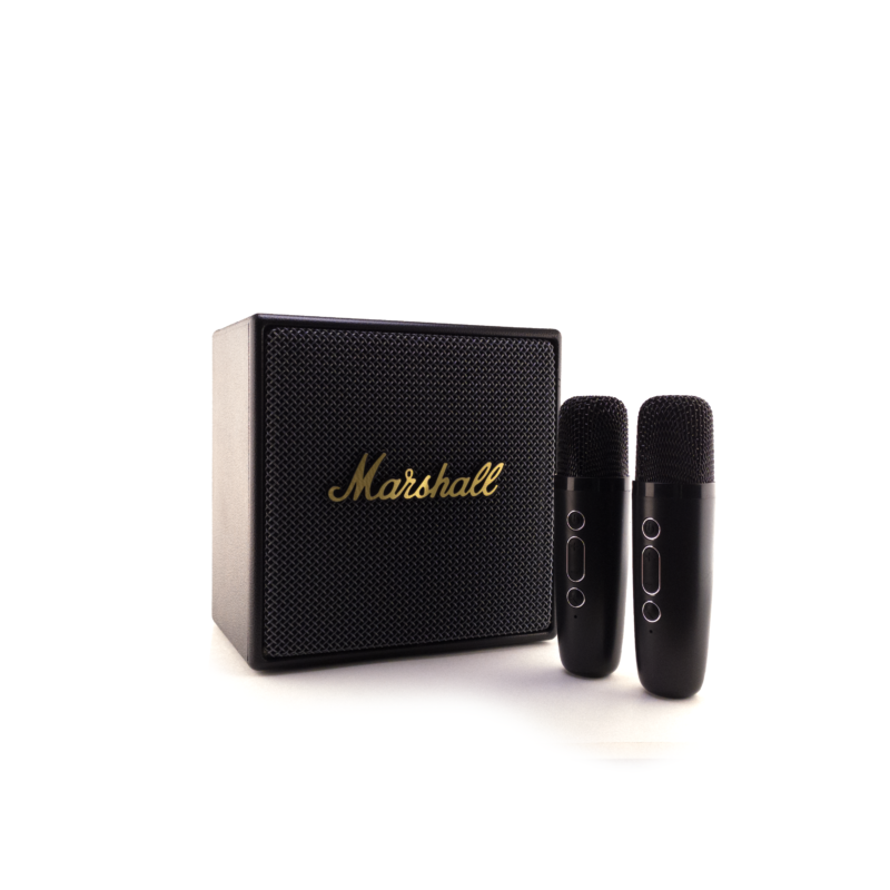 Marshall Karaoke Speaker